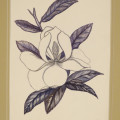 Magnolia Watercolor