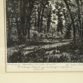 Forest Woodblock, 1968
